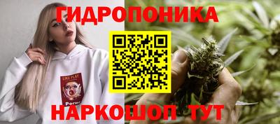 экстази Моздок