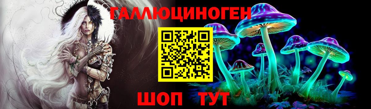 Таганрог  Галлюциногенные грибы Cubensis  Вход с VPN 